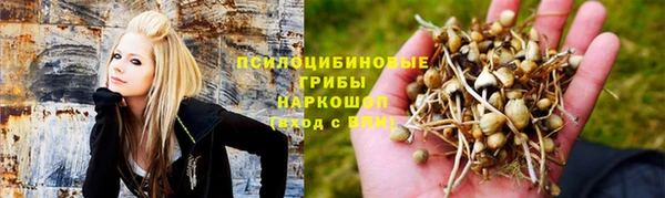 соль ск Богородицк