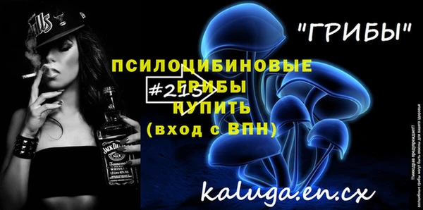 соль ск Богородицк
