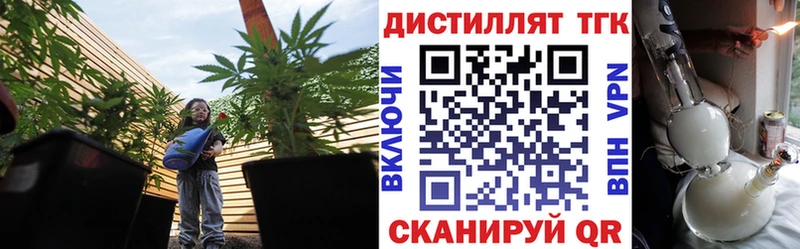omg вход  Плёс  ТГК вейп 