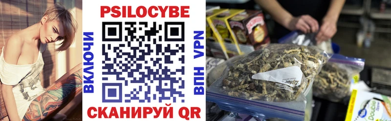 закладки  Плёс  Галлюциногенные грибы GOLDEN TEACHER 